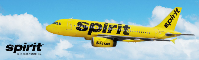 spirit airlines baggage pay online