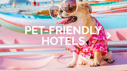 Pet-friendly Hotels