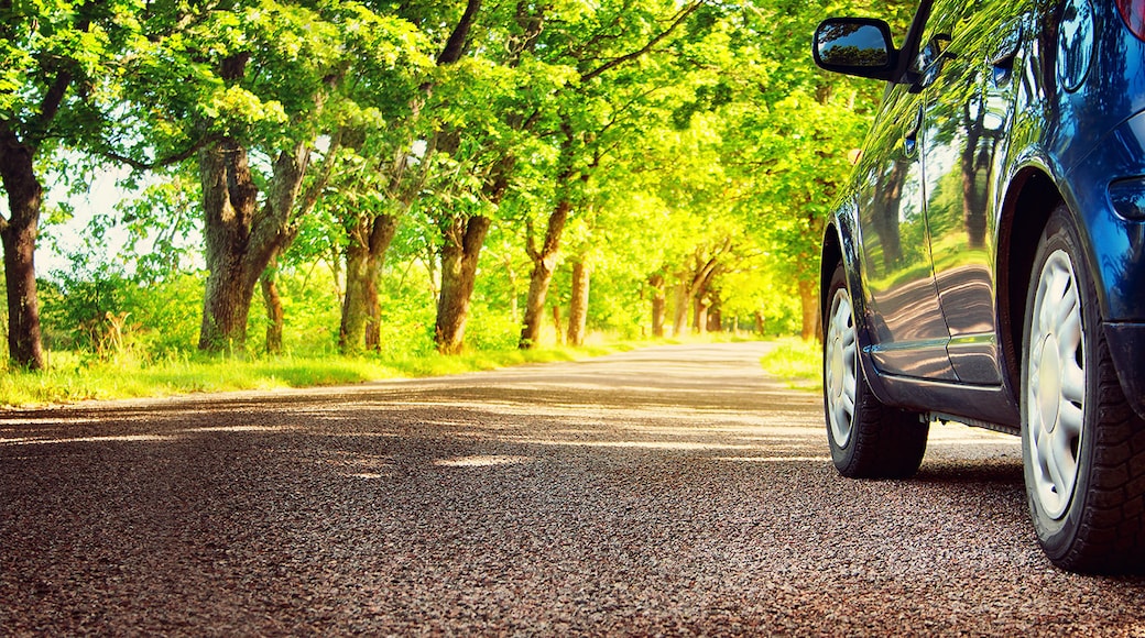 $34 Car Rentals in Virginia: Cheap Rental Car Deals - Orbitz