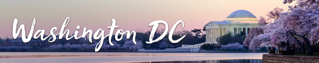 travel deals from washington dc last minute