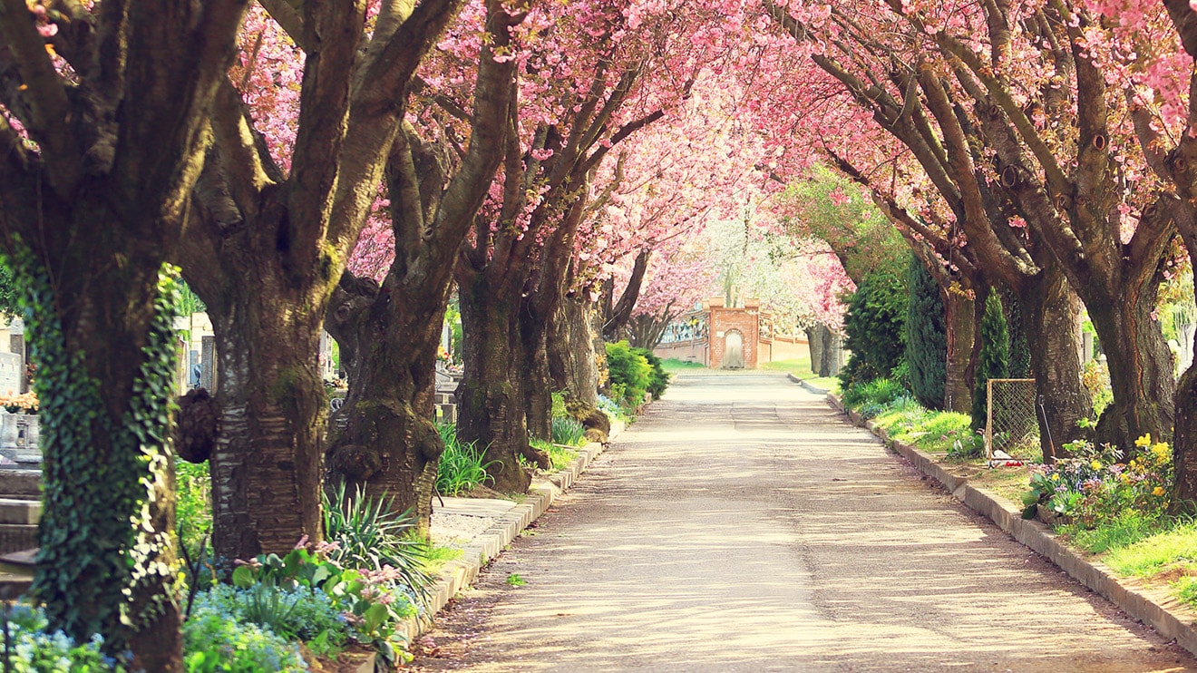 Orbitz Exclusive Coupons, Discounts and Promocodes January 2019