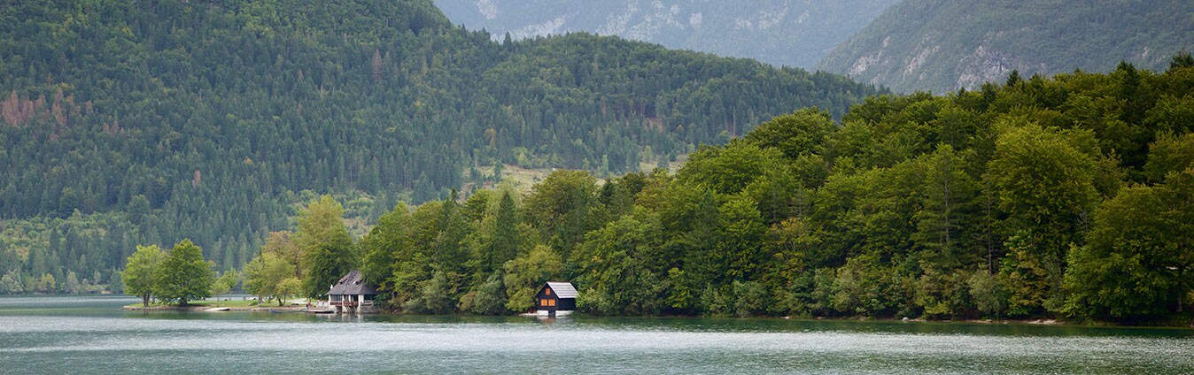 Cheap Cabin Rentals Find The Perfect Holiday Cabin Rental