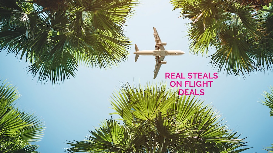 Flight Deals