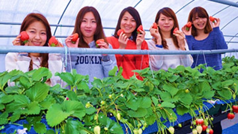 Kanuma Buttsuke Autumn Festival and Events in Tochigi Prefecture