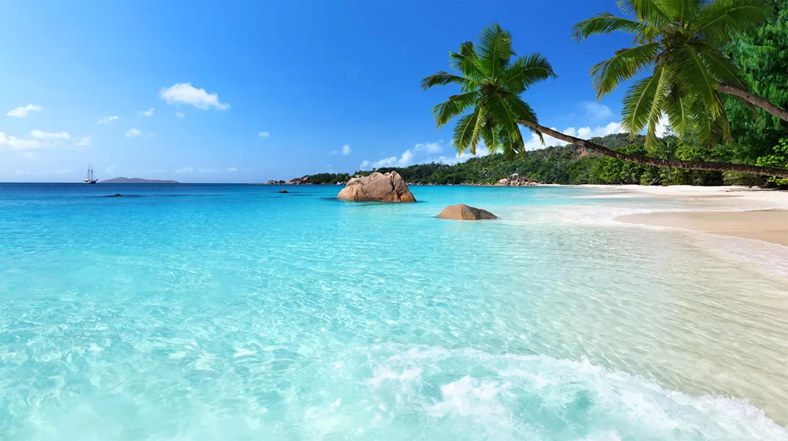 next day travel deals