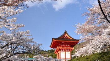 Morgendliche Tour durch Tokio Morgendliche Tour durch Tokio