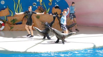 Things To Do In Miami 2018 Top Attractions Amp Activities