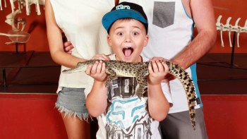 Tickets, museos, atracciones,Entradas a atracciones principales,Parque Crocosaurus Cove