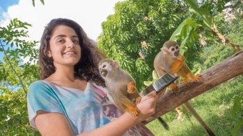 Things To Do In Punta Cana Top Attractions Amp Activities