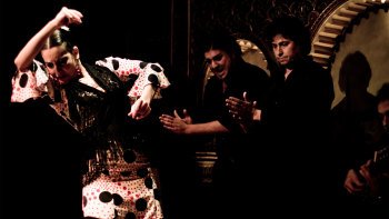 Kombiticket: Hop-on-Hop-off-Tour bei Nacht und Flamenco-Show Kombiticket: Hop-on-Hop-off-Tour bei Nacht und Flamenco-Show