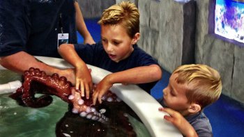 San Antonio Aquarium