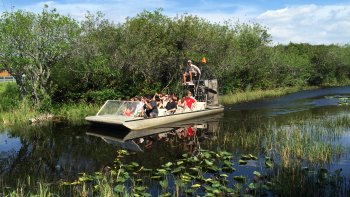 Everglades-Tour und Fahrt mit dem Sumpfboot Everglades-Tour und Fahrt mit dem Sumpfboot