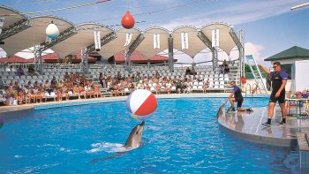 ,Dolphinland