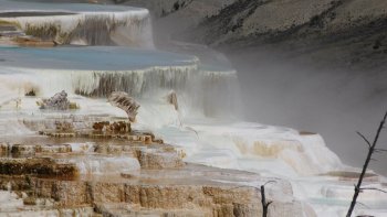 jackson hole guided self tour things