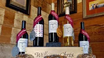 Full-Day Winetasting Tour in Texas Hill Country