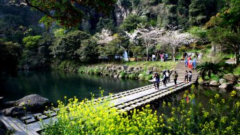 Expedia Tours Of Jeju Island Expedia Tours Of Jeju Island