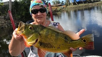 Fort Myers Local Expert: Find Things To Do in Fort Myers