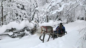 Actividades,Salidas a la naturaleza,Paseo en trineo,Tour de la aurora boreal