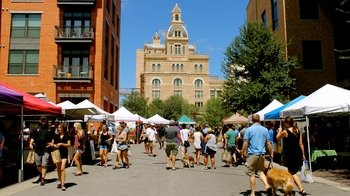 Real San Antonio Guided Tour