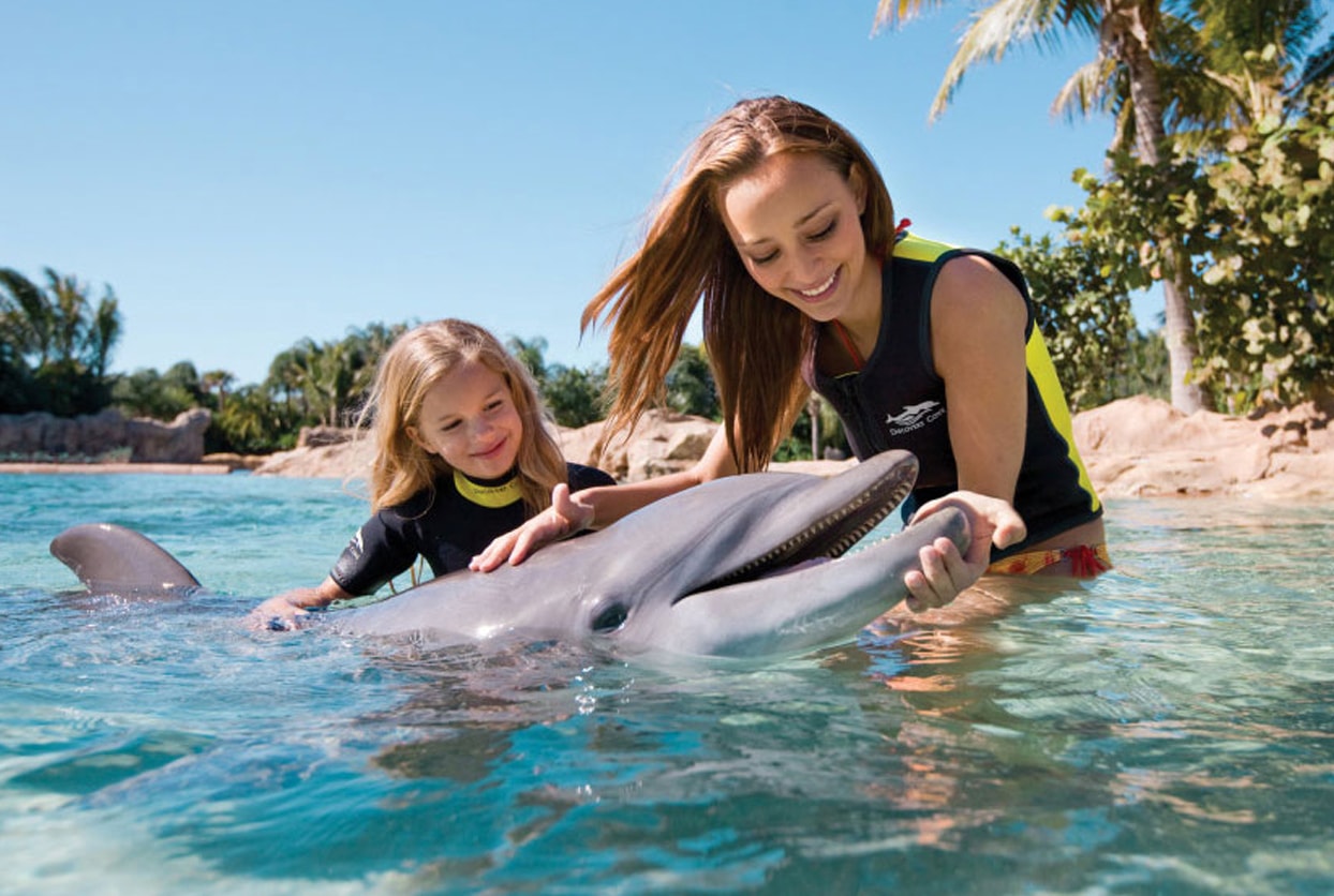 Discovery Cove® Resort Packages