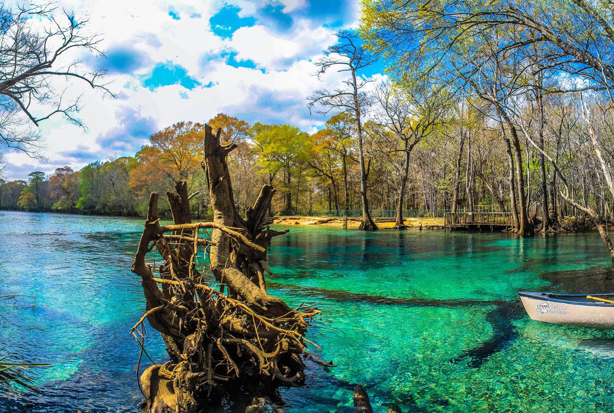 Cold Spring Eco-Adventure