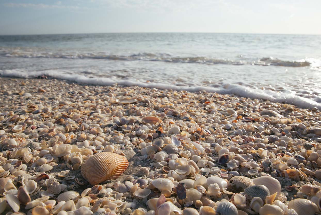 Explore Sanibel & Captiva Islands