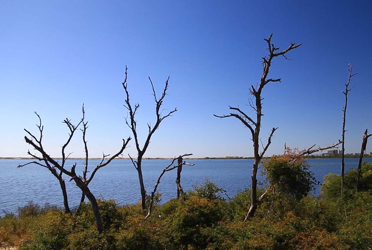Big Lagoon State Park