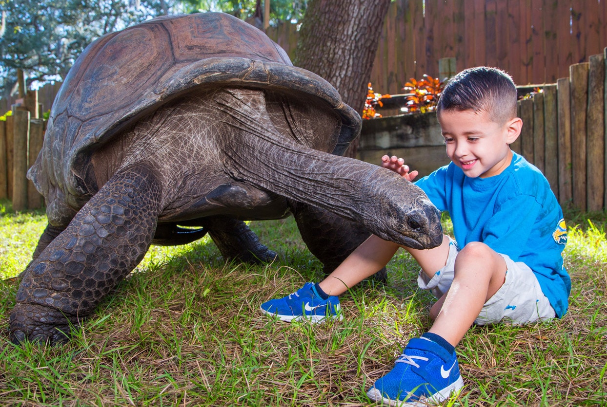 Tampa's Lowry Park Zoo Admission
