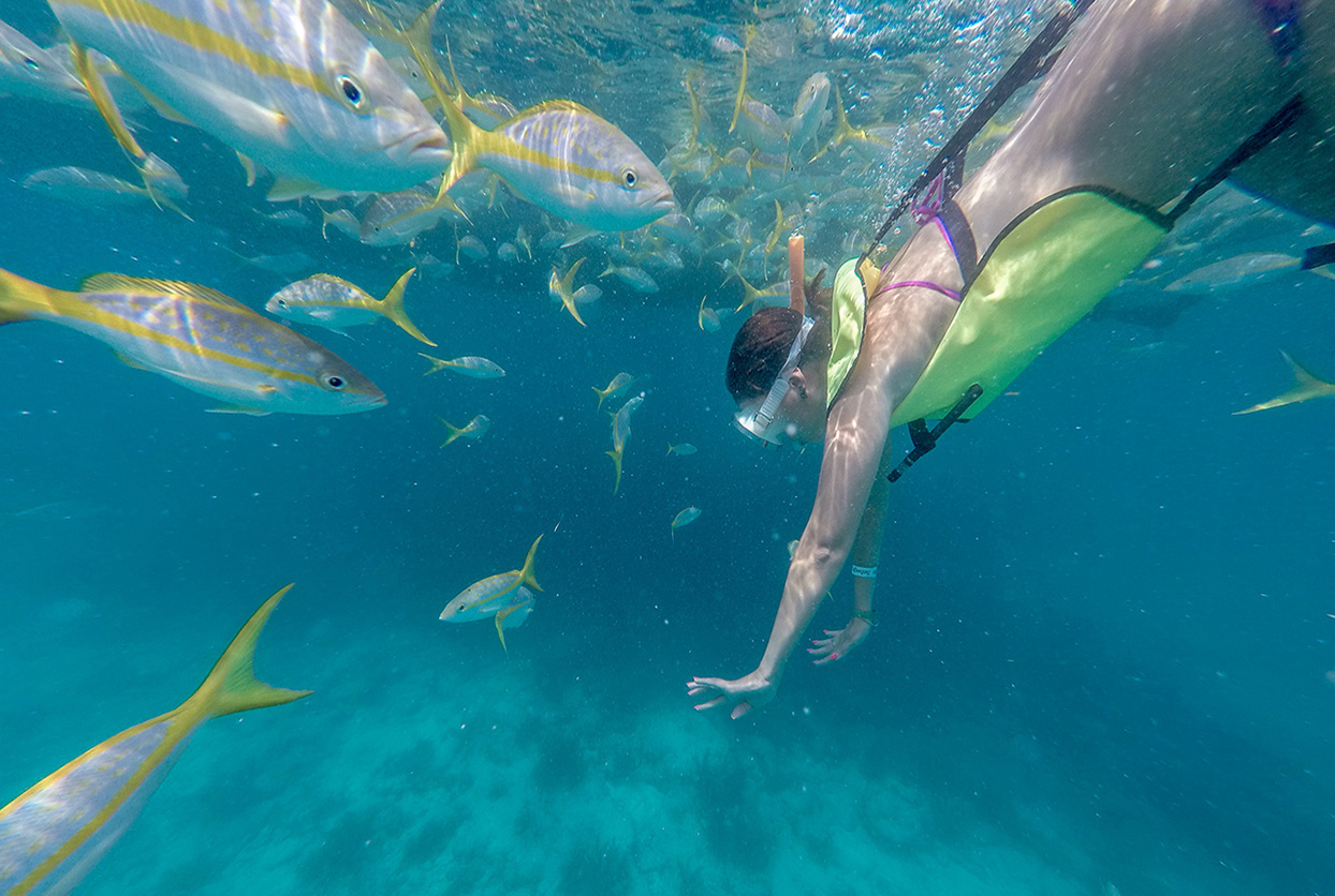 Snorkel & Sail Catamaran Excursion to Florida Reef