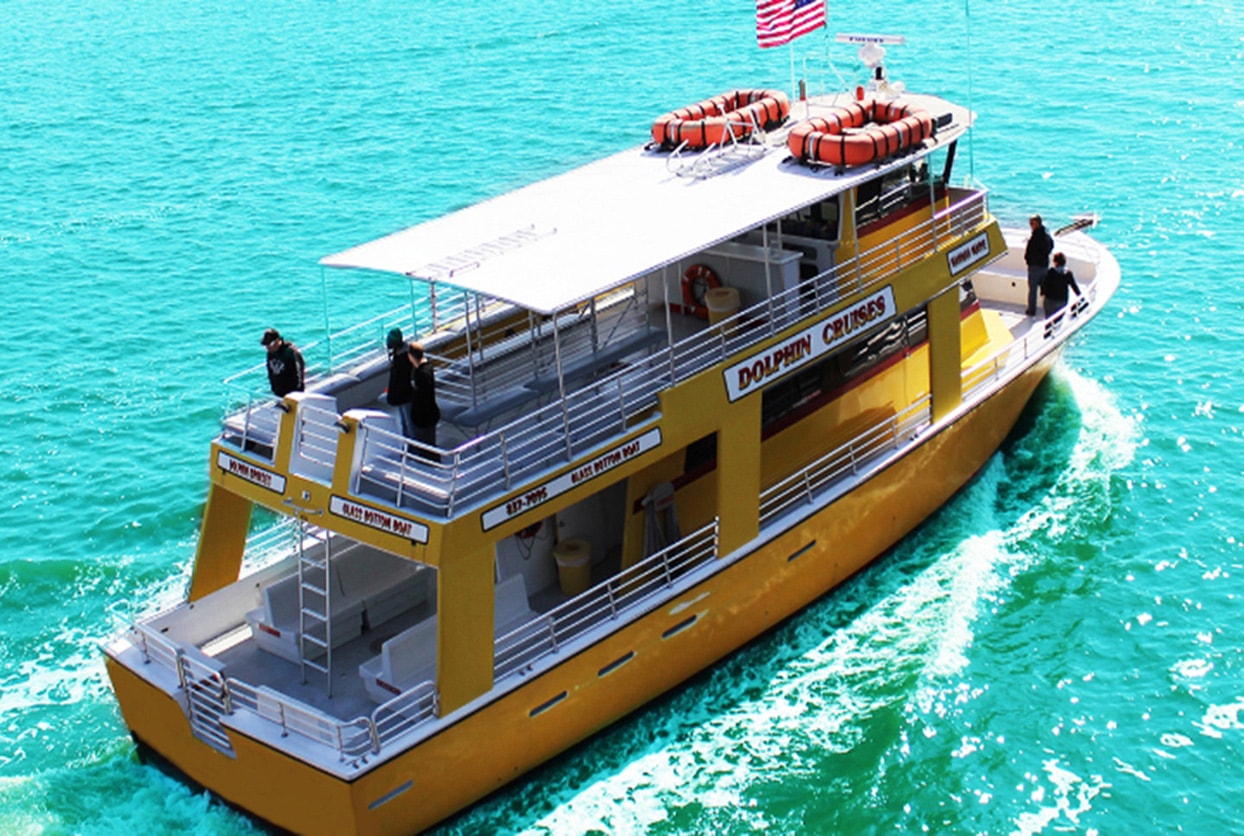 Destin Harbour Dolphin Tour