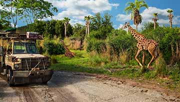 Disney's Animal Kingdom Park