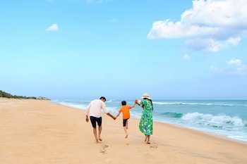 Outdoor pool, open 8:00 AM to 8:00 PM, free cabanas, pool umbrellas