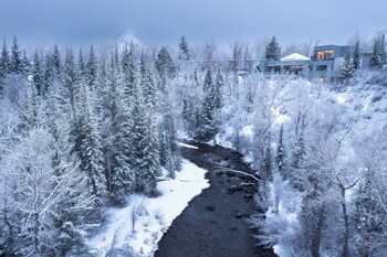 Premium bedding, in-room safe, desk, laptop workspace
