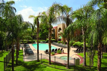 Outdoor pool, pool umbrellas, sun loungers