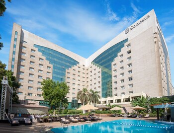 Hồ bơi ngoài trời 