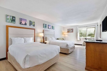 Desk, iron/ironing board, free cots/infant beds, rollaway beds