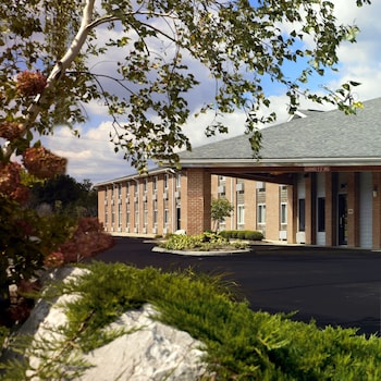 Indoor pool, sun loungers