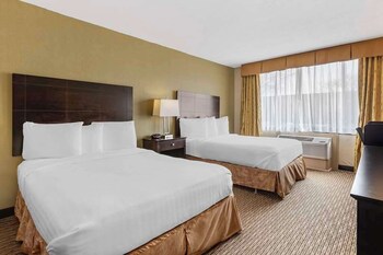 Premium bedding, pillowtop beds, individually furnished, desk