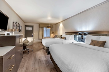1 habitación, ropa de cama de alta calidad y escritorio 