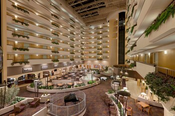 Experience the serene ambiance of our indoor atrium, featuring a central water feature and lush greenery.