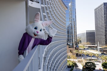 Breakfast, lunch, dinner served; French cuisine, garden views 