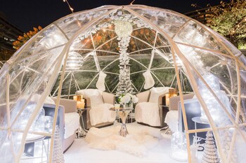 Suite presidencial | Ropa de cama de alta calidad, edredón, camas con pillow-top y minibar