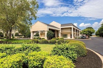 Buffet déjeuner gratuit