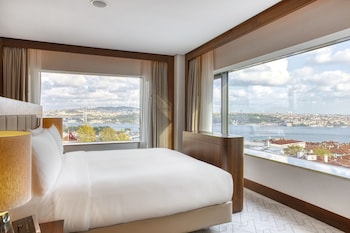 Suite, 1 King Bed, Balcony (Bosphorus) | View from room