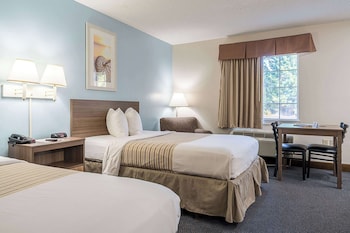 Two single beds with wooden headboards and white bedding, a nightstand with a lamp and phone, and a window with beige curtains.