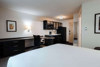Full-size fridge, microwave, stovetop, dishwasher