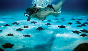 Private beach, white sand, beach umbrellas, beach towels