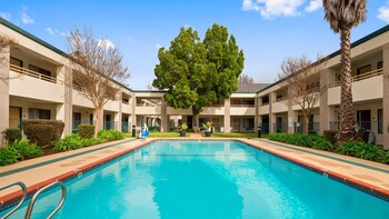 Outdoor pool, sun loungers