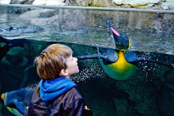 Breakfast, lunch, dinner served; international cuisine