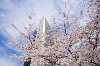 9 restaurants, breakfast, lunch, dinner served; Fusion cuisine